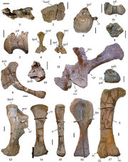 Figure17