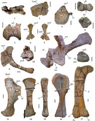 Figure17