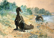 “Hadrosaurus mirabilis” (Knight 1897)