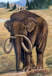 The-Columbian-Mammoth