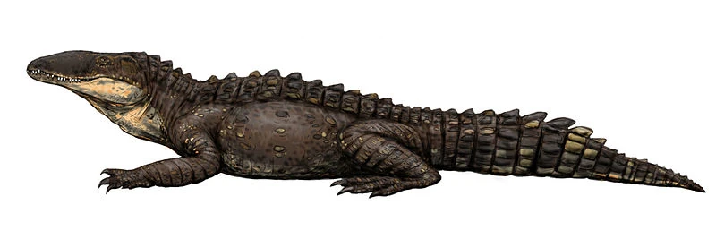 Себек | Вымершие животные вики | Fandom