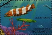 Griphognatus марка 1.jpg