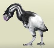 1024px-Dromornis stirtoni