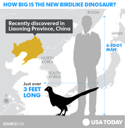 Jianianhualong size.png