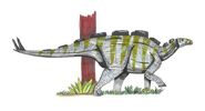 Wuerhosaurus-2-m