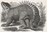 1871-Litograf the Hylaesaurus by Benjamin Waterhouse Hawkings