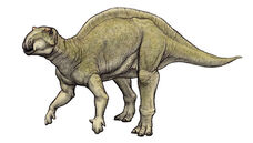 Fukuisaurus-1