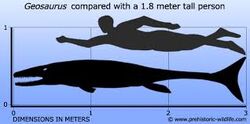 Сравнение геозавра с человеком