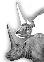 Sinotherium lagrelii by sinammonite d5t4t30-375w-2x
