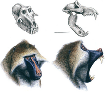 26-Figure13-1