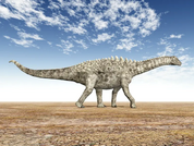 Ampelosaurus-17022692