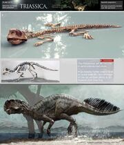 Psittacosaurus.jpg