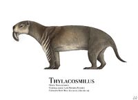 Thylacosmilus by prehistorybyliam dd2bzpo-fullview
