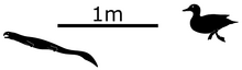 0u38f5872a-64c3136d-7477a309.png