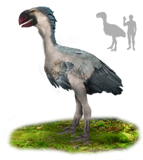Gastornis
