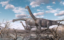 Camarasaurus20111222