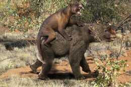 Thylacoleo vs Diprotodon-1