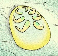 Тамга.jpg (47 КБ) Тамга