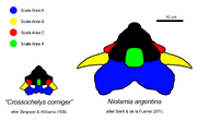 Niolamia ontogeny
