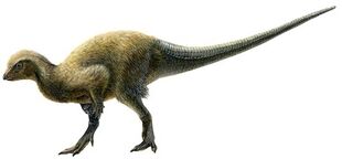 Kulindadromeus