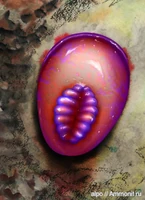 Онега.jpg (112 КБ) Цефалонега