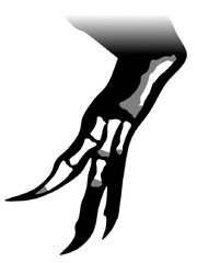 MN 4819-V manus skeletal by PaleoGeek