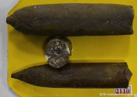 Oxyteuthis barremicus. Криуши, Сенгилеевский район, Ульяновская область. Ширина рамки номерка 9 мм.