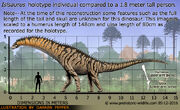 Isisaurus-size