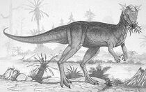 Stygimoloch1898998