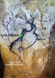 Irish elk at Chauvet-Pont d’Arc Cave