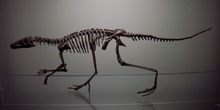 0ua9d8be50-365097e7-b447c1c0.png