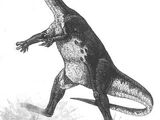 Аммозавр