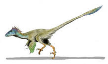 Utaraptor