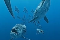 Ксифактины.jpg (57 КБ) Стая ксифактинов