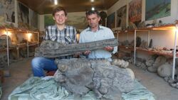 Николай Зверьков (слева) и Омар Хаписов (справа) с черепом ихтиозавра из Дагестана.