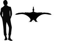 1scaphognathus size.png