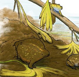 Rhadinosteus