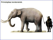 Primelephas korotorensis by cisiopurple dfennuf-414w-2x