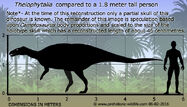 0u4340b050-3885df31-575b5bce.jpg