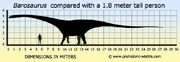 Barosaurus-size