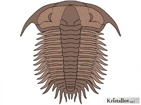 Дамеселлиды.jpg (365 КБ) Представитель семейтсва Дамеселлиды