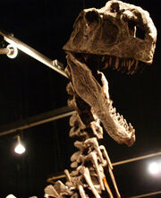 Monolophosaurus
