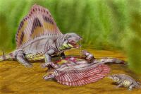 Диметродон (Dimetrodon loomisi) поедает эдафозавра (Edaphosaurus cruciger); на переднем плане амфибия какопс. Автор — Д. Богданов