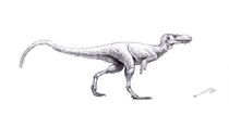 0u256d453f-13ae537f-331fdaed