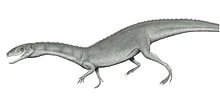 220px-Yarasuchus