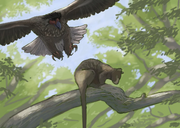 Dynatoaetus-gaffae-a-giant-eagle-from-the-late-pleistocene-v0-2xcpo8mpetpa1