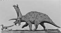 Bravoceratops polyphemus by acrosaurotaurus dcsk9pl-fullview