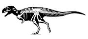 Eoabelisaurus.jpg