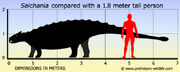 Saichania-size.jpg