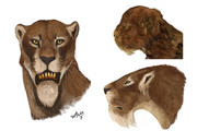 That-newly-discovered-mummified-homotherium-cub-appears-to-v0-bbmukbnssz0e1